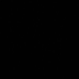 Meet your Posher, Bella